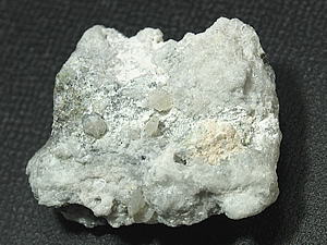 CHARLESITE `[Y zzR 0008