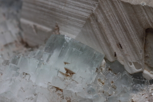 FLUORITE t[Cg u΁@