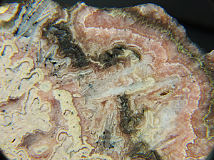 ]zR001@H}Kz RHODOCHROSITE